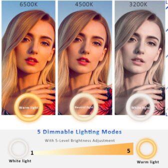 Video Conference Lighting Kit, Ring Light for Monitor Clip On,for Remote Working, Distance Learning,Zoom Call, Self Broadcasting and Live Streaming, Computer Laptop Video Conferencing - Image 5