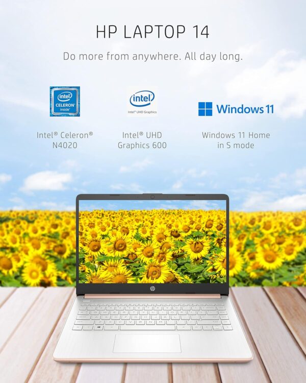 HP 14 Laptop, Intel Celeron N4020, 4 GB RAM, 64 GB Storage, 14-inch Micro-edge HD Display, Windows 11 Home, Thin & Portable, 4K Graphics, One Year of Microsoft 365 (14-dq0030nr, Pale Rose Gold) - Image 2