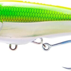Nomad Design DTX Minnow 110 with Patented Autotune System - Distressed Baitfish Swimming Action, Hydrospeed Belly Eyelet for Faster Trolling