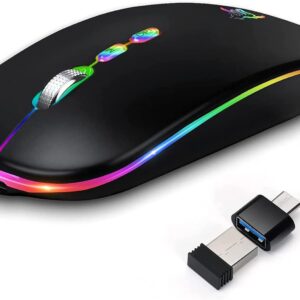 HOTLIFE LED Wireless Mouse, Slim Rechargeable Silent Portable USB Optical 2.4G Wireless Bluetooth Two Mode Computer Mice with USB Receiver and Type C Adapter (Black)